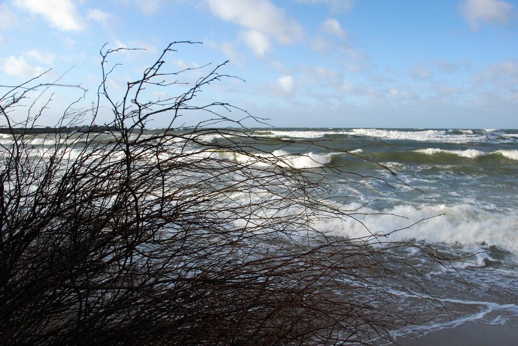 Vila Joana Palanga Buitenkant foto